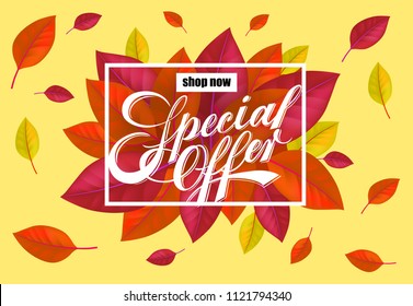 Shop now Special offer lettering with bright colorful leaves. Creative inscription with flying leaves around. Illustration with lettering can be used for banner, posters and leaflets