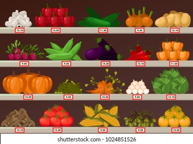 Shop or store stall or stand, showcase with vegetables or organic food. Champignon mushroom and bell or chilli pepper, onion and potato, radish and eggplant, pumpkin and carrot. Vegetarian food theme