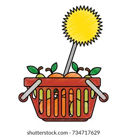 shopping basket with fruits and label