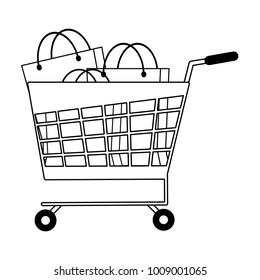Shopping cart with bags