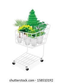 A Shopping Cart Full with Variety of Plants, Evergreens and Green Trees for Garden Decoration 