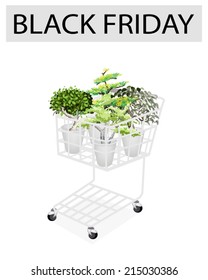 A Shopping Cart Full with Variety of Plants, Evergreens and Trees for Black Friday Shopping Season and Biggest Discount Promotion in A Year. 