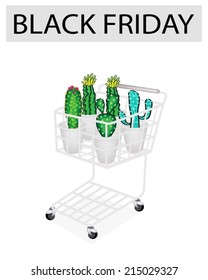 A Shopping Cart Full with Various Type of Cactus for Black Friday Shopping Season and Biggest Discount Promotion in A Year. 