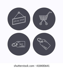Shopping cart, price tag and sale coupon icons. Special offer label linear sign. Flat icons in circle buttons on white background. Vector