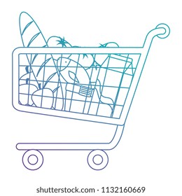 shopping cart with supermarket products