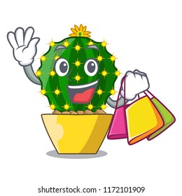 Shopping character mammillaria cactus at cactus farm