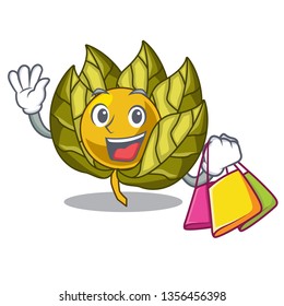 Shopping physalis fruit in the mascot fridge