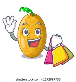 Shopping ripe honeydew melon in market cartoon