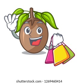 Shopping sapodilla fruit isolated on the mascot
