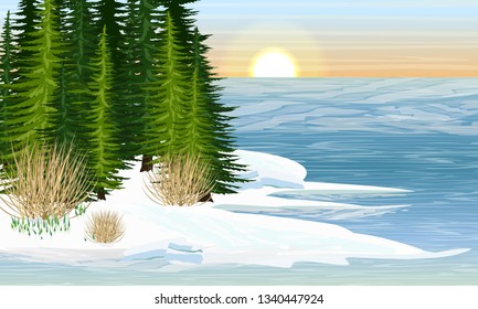 Shore of a forest lake. Spring. Melting ice, the first snowdrops. Spruce forest. Wild animals of Europe and America. Realistic Vector Landscape