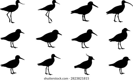 Shorebird vector icon set featuring avocet, stilt, curlew, sandpiper, lapwing, and plover silhouettes.