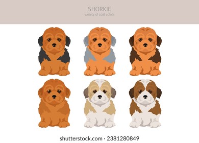 Shorkie clipart. Shih-Tzu  Yorkshire terrier mix. Different coat colors set.  Vector illustration
