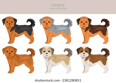 Shorkie clipart. Shih-Tzu  Yorkshire terrier mix. Different coat colors set.  Vector illustration svg