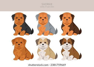 Shorkie clipart. Shih-Tzu  Yorkshire terrier mix. Different coat colors set.  Vector illustration