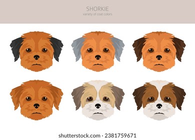 Shorkie clipart. Shih-Tzu  Yorkshire terrier mix. Different coat colors set.  Vector illustration