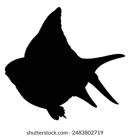 short body kaviat fish silhouette vector design. black and white.