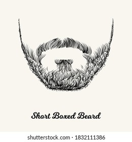 Short Boxed beard. Simple linear Illustration with fashionable men hairstyle. Contour vector background with isolated element for barber shop decor, prints, t-shirts, posters