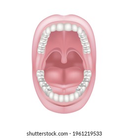 Short Frenum Of The Tongue. Pathology Of The Oral Cavity. Anatomy Of The Teeth. Vector Illustration