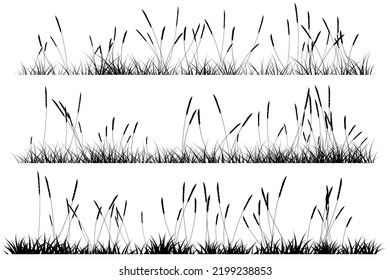 Short Grass With Reeds. Grassy Landscape Silhouette