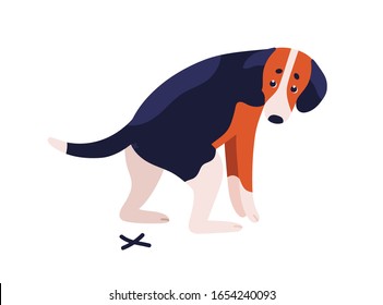 Short haired dog beagle breed during shitting vector flat illustration. Cute spotted colorful doggy pooping isolated on white background. Domestic animal having defecation problem
