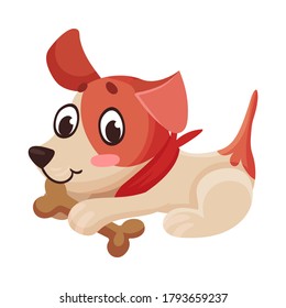 Short Legged Jack Russell Terrier Character Sitting with Bone in Its Mouth and Wriggling Tail Vector Illustration