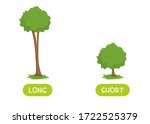 Short and long antonyms word card flat vector template. Flashcard for english language learning. Big and small opposites concept. Huge and tiny trees illustration with typography