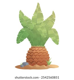 Short Palm tree with thick trunk beach landscape with gradient isolated on white background. cartoon tropical tropical forest palms icon for game design, templates, prints