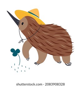 Echidna de pico corto como animal australiano en ilustración de un vector de sombrero amarillo