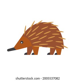 Short-beaked echidna. isolated illustration on white background