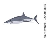 The shortfin mako shark, Isurus oxyrinchus is also known as the blue pointer or bonito shark. This species is one of the mackerel shark family member