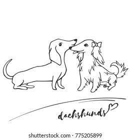 Short-haired and long-haired dachshunds get acquainted, communicate, play. Black and white linear sketch. Vector illustration. Hand drawing cartoon dogs on white background

