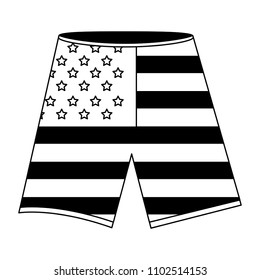 shorts with the american flag
