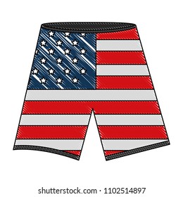 shorts with the american flag