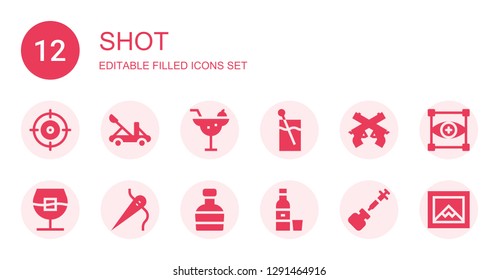 shot icon set. Collection of 12 filled shot icons included Shooter, Catapult, Cocktail, Pistol, Whiskey, Needle, Tequila, Vaccine, Focus, Image