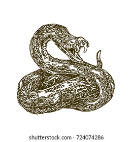 Shot snake. Vector illustration. 