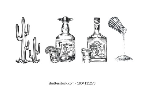 Shot of tequila and Glass bottle, Salt and cactus. Retro poster or banner. Engraved hand drawn vintage sketch. Woodcut Vector illustration.