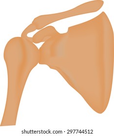 The Shoulder