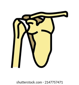 shoulder bone color icon vector. shoulder bone sign. isolated symbol illustration