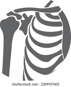 Shoulder bone joint black icon. Hand structure