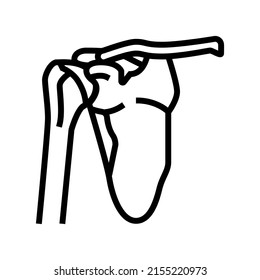 shoulder bone line icon vector. shoulder bone sign. isolated contour symbol black illustration