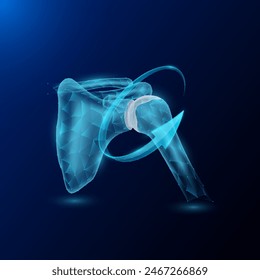 Anatomía del órgano humano del hueso de la articulación del hombro en forma de polígono bajo poli rodeado de flechas que brillan sobre fondo azul oscuro. Se utiliza para diseñar anuncios de ciencia médica. Ilustración del EPS10 del Vector.