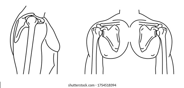 Shoulder joint and human body front and side view outline icons,skeleton men, human anatomy vector illustration