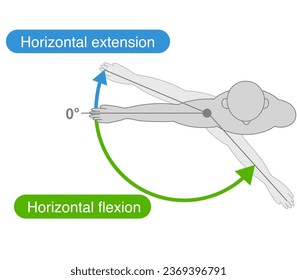Shoulder joint motion and direction of motion - Shutterstock ID 2369396791