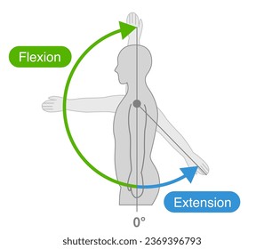 Shoulder joint motion and direction of motion - Shutterstock ID 2369396793