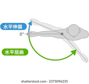 Shoulder joint motion and direction of motion ;Translate 
 ,Horizontal flexion,Horizontal extension