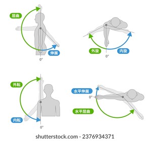 Shoulder joint motion and direction of motion ;Translate,Lateral flexion,Flexion,Horizontal flexion,Extension,Horizontal extension ,Internal Rotation ,External Rotation