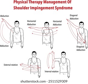 Shoulder Joint Movements vector illustration