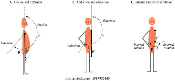  Shoulder movement: flexion, extension, abduction, adduction,  external rotation  and internal rotation