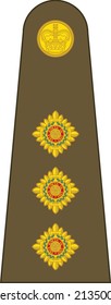 Shoulder pad mark for the CAPTAIN insignia rank in the British Army