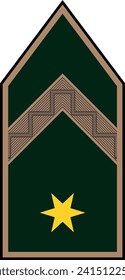Shoulder pad military officer mark for the ZÁSZLÓS (WARRANT OFFICER) insignia rank in the  Hungarian Ground Forces